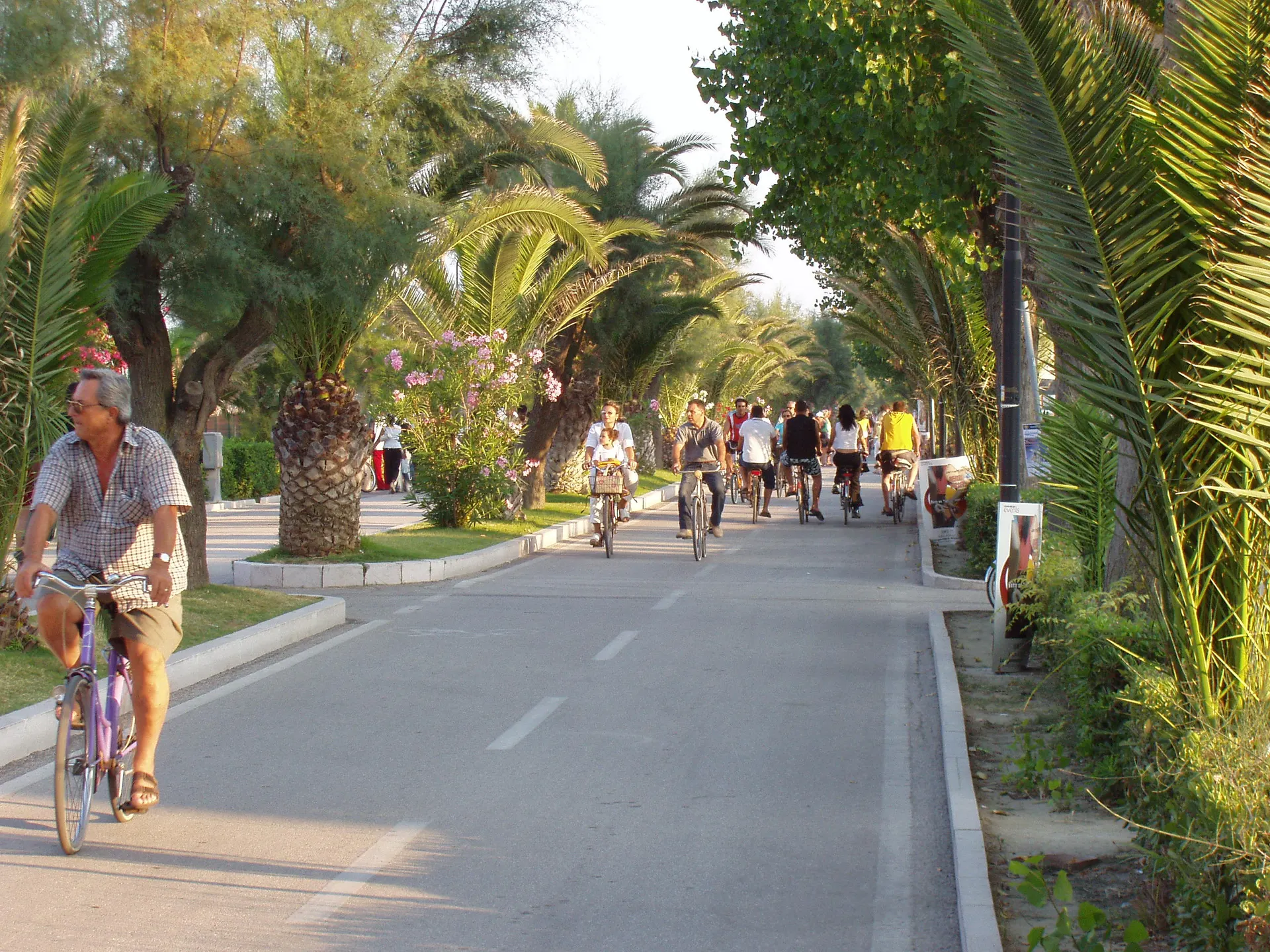 Ciclisti pedalano tra le palme del Corridoio Verde Adriatico nella luce del pomeriggio.