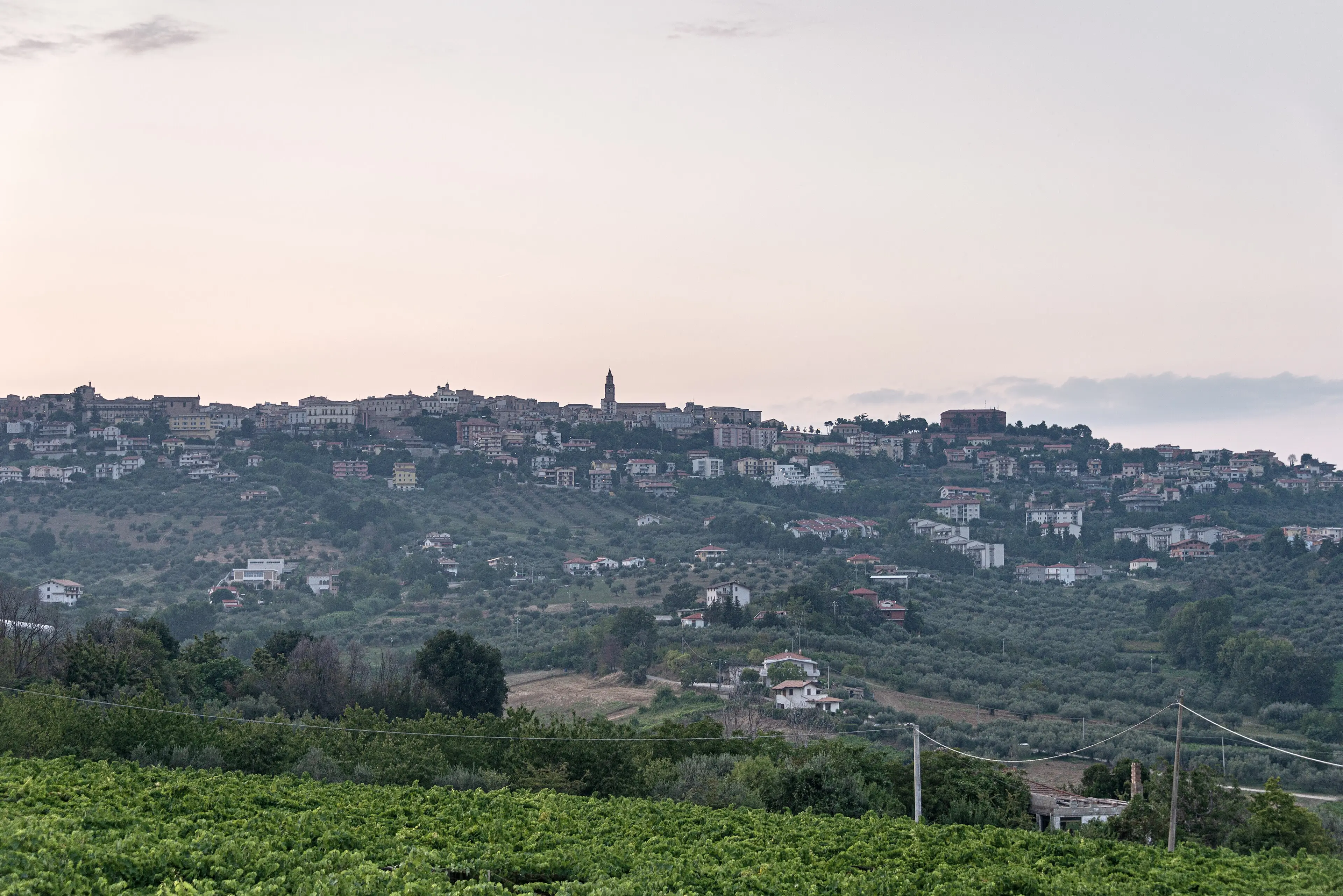 Città Sant’Angelo sul crinale al crepuscolo, con i vigneti in primo piano.