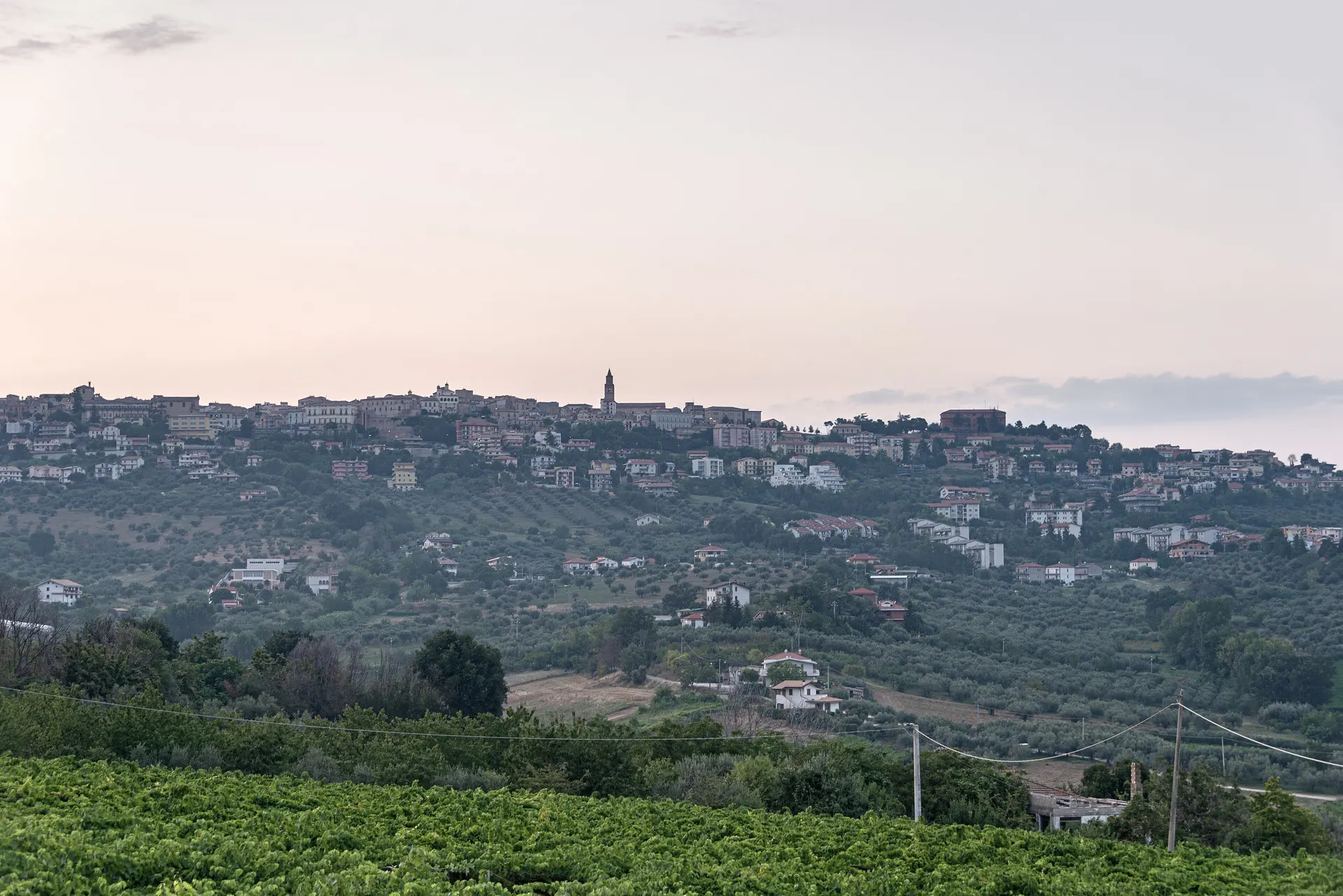 Città Sant’Angelo sul crinale al crepuscolo, con i vigneti in primo piano.