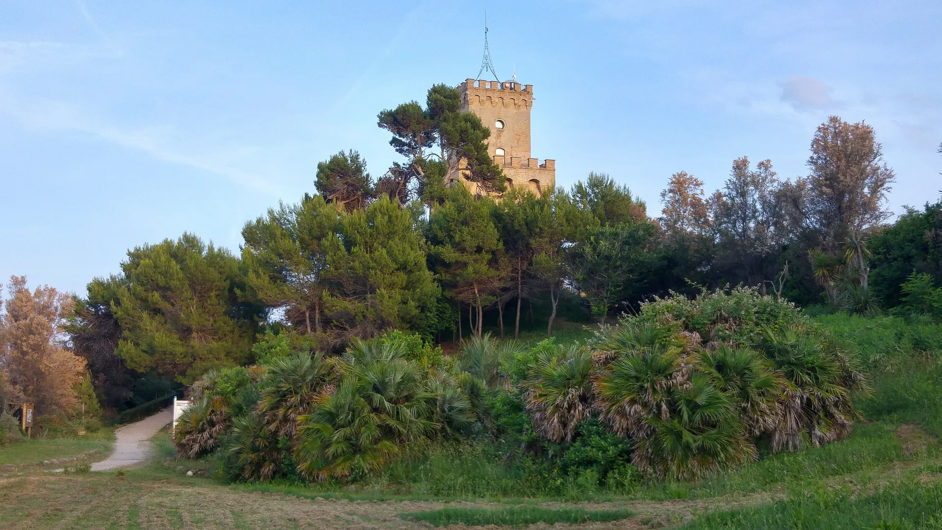 La Torre del Cerrano emerge dalla macchia mediterranea nella luce dorata del tramonto.